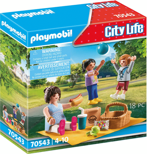 PLAYMOBIL® 70543 Picknick im Park